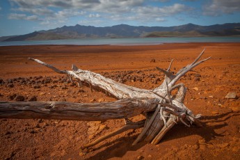 Heavy Metal Land: Die rostrote Landschaft rund um den Lac de Yaté enthält große Mengen an Eisen, Mangan, Chromerz, Nickel und Kobalt. Auf diesen toxischen Nährböden wachsen nur wenige hartgesottene Pflanzen.