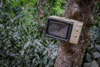 Ein ausgedienter Mikrowellenherd an einen Baum genagelt. Warum nur? Die Lösung: Ausgeschlachtete Geräte wie z.B. auch Fernseher, werden gerne als Postkasten weiterverwendet.