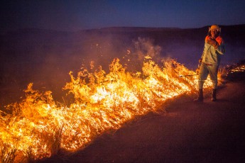 The fire brigade burns down the knee-length grasses in the immediate vicinity of the road in a controlled manner so that they do not catch fire through carelessly discarded cigarette butts.