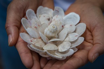 Porto Santo: A work by the artist Vera Menezes in her own hands.