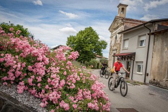 Üppig blühende Rosenstöcke, wenig Verkehr auf den Gassen, herrliche Weitblicke - viele Dörfer der Brda-Region sind wunderbare Ausflugsziele für Radfahrer.