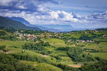 Wie ein Gemälde erstreckt sich die Kulturlandschaft der Brda zwischen bewaldeten Hügeln - hier verschmelzen slowenische Winzertradition und mediterrane Lebensart.