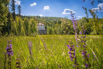 Zwischen Wildwiesenblumen erhebt sich das Renaissance-Schloss Snežnik. Die im 13. Jahrhundert erbaute Festung ist von einem 10.000 Hektar großen Naturpark umgeben und gilt als besterhaltenes Schloss Sloweniens.