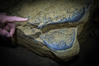In der Križna Höhle zeugen diese glattpolierten schwarzen Flächen am Kalkstein von jahrtausendelangem Gebrauch - hier haben sich unzählige Höhlenbären mit ihrem Fell entlanggescheuert und dabei glatte Spuren hinterlassen, die nur im geschützten Höhlenklima so konserviert werden konnten.
