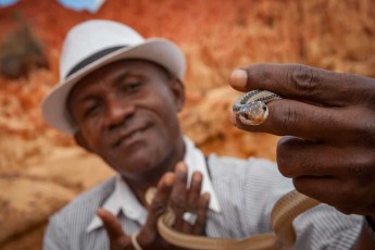 Guide Christian proudly presents a harmless cat-eyed snake (Madagascarophis sp.) - the nocturnal snakes with characteristic vertical pupils are one of Madagascar's most common snake species and are called "Marolambo" by locals, meaning "many in the hole".