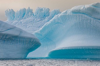 Icebergs merge into a symphony of blue and white. Meltwater channels have etched filigree patterns into the flanks.