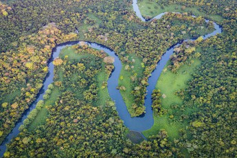 Unweit der Copal Tree Lodge schlängelt sich der Rio Grande durch dichten Tieflandregenwald.