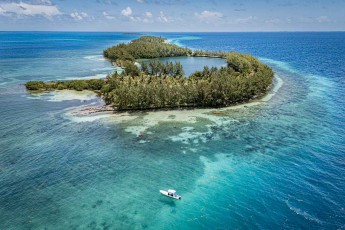 Die Insel Long Coco Caye, von Casuarinen gesäumt, hält ein türkises Lagunenbassin in seinen Armen.