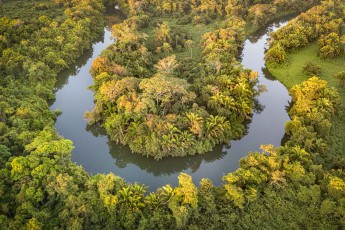 Unweit der Copal Tree Lodge schlängelt sich der Rio Grande durch dichten Tieflandregenwald.