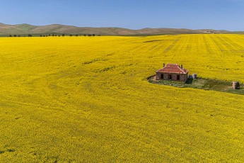 Ein verwittertes Farmhaus ist der letzte Zeuge einer Zeit, als hier noch Menschen lebten. Das Cover des Midnight Oil Albums "Diesel and Dust" machte diese Einsamkeit weltberühmt.
