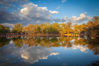 Wolken und Bäume spiegeln sich im stillen Wasser, am Ufer parkt der Safariwagen – Lotsane verteilt seine Tränken weit, damit die Herden wandern.