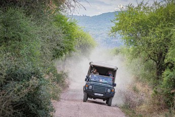 Ein Geländewagen bahnt sich seinen Pfad zwischen grünen Dornenbüschen und Akazienbäumen am Lake Manyara.