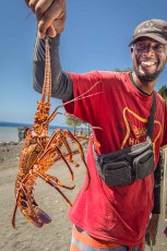 Leo zeigt am Strand von Tarrafal de Monte Trigo stolz seine gefangene Languste.