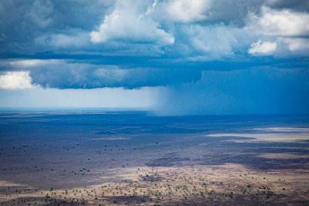 Es ist Regenzeit in Ostafrika: Ein grauer Regenvorhang trifft auf die Ebene der Serengeti und lässt verdorrtes Gras binnen weniger Tage ergrünen.