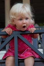 Pinnawela. Bei so vielen Elefanten kommt Smilla nicht mehr aus dem Staunen heraus.