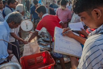 Tangalle: Hier wird der Fang gewogen, sofort verkauft und fein säuberlich verbucht.