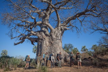 Kurze Verschnaufpause vor einem Affenbrotbaum. Die ikonischen Bäume speichern bis zu 100.000 Liter Wasser. Deswegen werden sie jetzt in der Trockenzeit oft von Elefanten aufgesucht. Sie kratzen die Rinde mit ihren Stoßzähnen auf und zupfen die darunter liegenden feuchten Fasern heraus.
