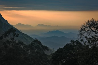 Ella am frühen Morgen.
sri_0213_01