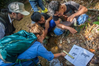 Ida vermisst die Spur eines Sunda-Nebelparders. Ein wunderschönes Tier, einem Leoparden ähnlich, die Fellzeichnung aber mit wolkenartigen Flecken. Und viel zu selten: schon seit 2008 klebt er auf der roten Liste der gefährdeten Arten.