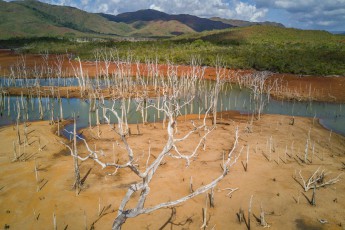 Der Lac de Yaté wurde 1959 als 4000 Hektar großer Stausee angelegt. Dem Projekt fielen Abertausende Bäume zum Opfer und die entstandenen versunkenen Wälder sind eine bizarre wie fragwürdige Schönheit.