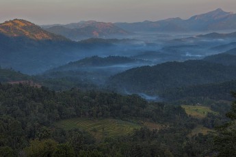 Green View Hotel: Blick morgens um 6.30 Uhr.