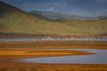 Der Lac de Yaté wurde 1959 als 4000 Hektar großer Stausee angelegt. Dem Projekt fielen Abertausende Bäume zum Opfer und die entstandenen versunkenen Wälder sind eine bizarre wie fragwürdige Schönheit.
