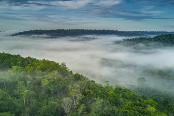Frühmorgens über dem endlosen Regenwald nahe des Ortes Presidente Figueiredo. Die lauten Rufe der Tüpfelguane und Brüllaffen schallen über die Baumwipfel.