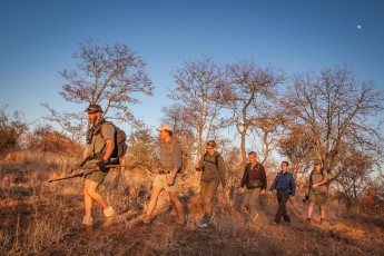 Es ist ein herrlicher Morgen im Selati Game Reserve: Wir machen uns auf eine weitere Tageswanderung durch die Wildnis, diesmal mit Lead Guide Ross und Backup Christiaan.