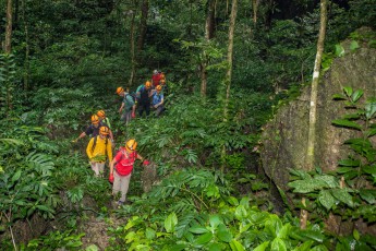 Etwas ganz Besonderes in der Son Doong Höhle sind die beiden Dschungel auf den Böden der riesigen Schächte, der sogenannten Dolinen. Ein Düngercocktail aus hoher Luftfeuchtigkeit, Fledermauskot und Tageslicht hat hier ein eigenes Ökosystem mit dichten Büschen und hohen Bäumen sprießen lassen.