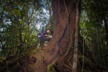 Mehrere TPU Busch-Teams, bestehend aus je vier Wildhütern, durchkämmen ständig das riesige Areal. Ihre ständige Präsenz schreckt Wilderer ab, sie sammeln Daten über den Lebensraum der Tiger und zerstören illegale Fallen. Allein 2015 beseitigen die Ranger über 100 Drahtschlingen.