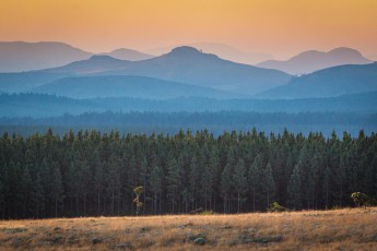 Landschaft im Blyde River Canyon.