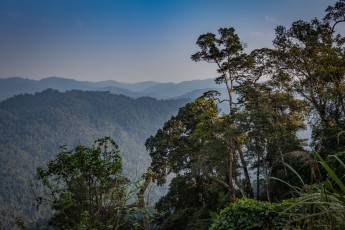 Endloses Grün im Phong Nha Ke Bang Nationalpark - und endlich mal Lichtglück. In zwei Wochen Vietnam hatte ich nur 4 (!) Sonnenstunden.