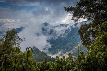 Das Rwenzori - eine der fantastischten Landschaften, die ich je durchstreifte - dabei durchwanderte ich nur einen sehr kleinen Teil, meistens, so wie hier, primären Regenwald. Im Bild zu erkennen sind Narben von Erdrutschen. Permanenter Regen unterspült das sehr steile Gelände, täglich prasseln Felsbrocken talwärts.