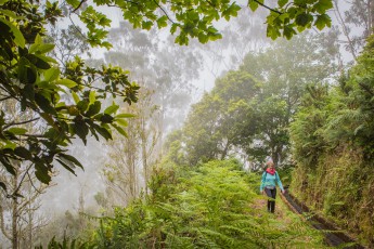 Eine typische Levada-Wanderung: Nebulös, wolkenverhangen, wenig besucht.