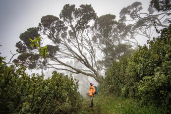 Wolkenverhangen, menschenleer, naturgewaltig - so erlebe ich das Rwenzori. Guide Stephen Kule stammt aus einem Dorf am Fuße des Rwenzori, er steckt mich an mit seiner Obsession für Berge - und insbesondere Vögel.