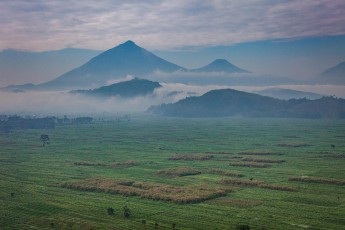 Abschied aus Uganda: Ein letzter Blick über die Kulturlandschaft mit Yam-, Tomaten-, Bohnen- und Kartoffelfeldern. Im Hintergrund der ruandische Vulkan Karisimbi (höchste Erhebung) und rechts daneben der Mikeno (Kongo).