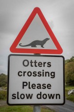 Warnschild auf der Isle of Mull: Hier queren Otter die Straße.