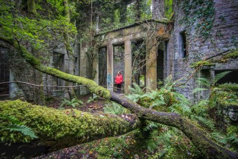 Wir bestaunen das verfallene Buchanan Castle, das sich die Natur in großen Teilen wieder bemächtigt hat.