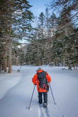 Auf Schneeschuhen durch unberührten Neuschnee: Dameon führt uns durch den Wald nahe des Lake Akans.
