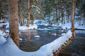 Während einer Wanderung auf Schneeschuen, ohne die wir etwa einen Meter in den Schnee eingesunken wären, entdecken wir diesen wundervollen Platz, der einlädt zum Verweilen und Bestaunen der herrlich ruhigen Natur.