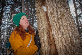 Keryn bestaunt den Frostriss eines Baumes. Diese können entstehen, wenn die Temperatur schlagartig auf etwa -25° Celsius fallen.