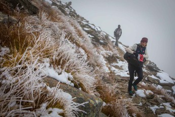 The snow-covered section around ‘Triftgrätji’ follows the Alpine flower promenade, which presents around 240 different types of flowers, including edelweiss and gentian, when they are in bloom. Now, unfortunately, only a fraction of them.