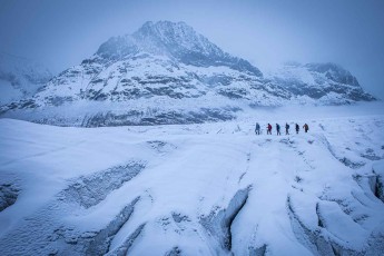 The ice of the Aletsch Glacier moves down the valley at a rate of 74 to 86 metres per year.