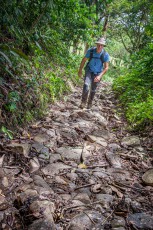 Selten im Regenwald: ein vollständig intakter Abschnitt des historischen Camino Real.