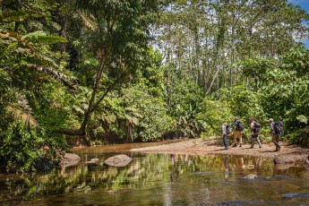 Immer wieder belohnt die Natur entlang des Camino Real mit herrlichen Ausblicken auf den Fluss und in den prachtvollen Regenwald.