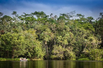 Täglich zweimal hat man als Gast der Sacha Lodge die Möglichkeit, faszinierende Natur hatunah zu erleben.
