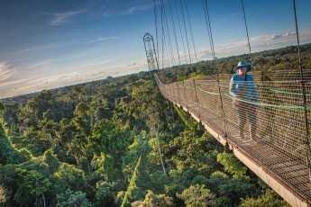 Eine der Besonderheiten der Sacha Lodge ist diese 36 Meter hohe und 275 Meter lange lange Hängebrücke über dem Regenwald.