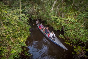 Auf den engen Wasserwegen unweit der Sacha Lodge kann man Vögel, Affen, Amphibien und vieles mehr beobachten.