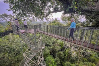 Der Kapok-Turm ist eine 43 Meter hohe Aussichtsplattform. Besonders am Morgen eignet er sich hervorragend zur Vogelbeobachtung.