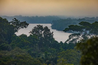Blick auf den Napo River, unweit der Sacha Lodge.